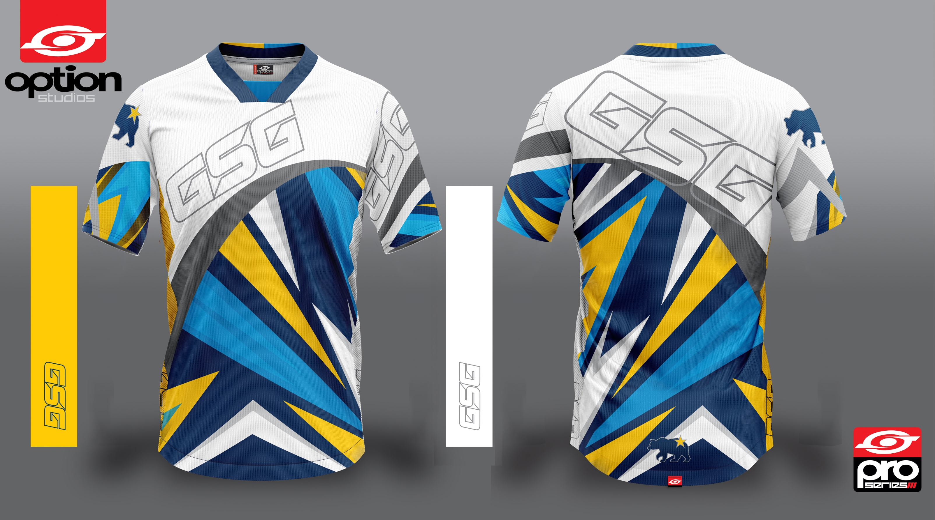 【CDS】 Sky Ground Nylon Jersey Setup XL GSG Skydive Chicago SummerFest 2023 Jersey Option Studios